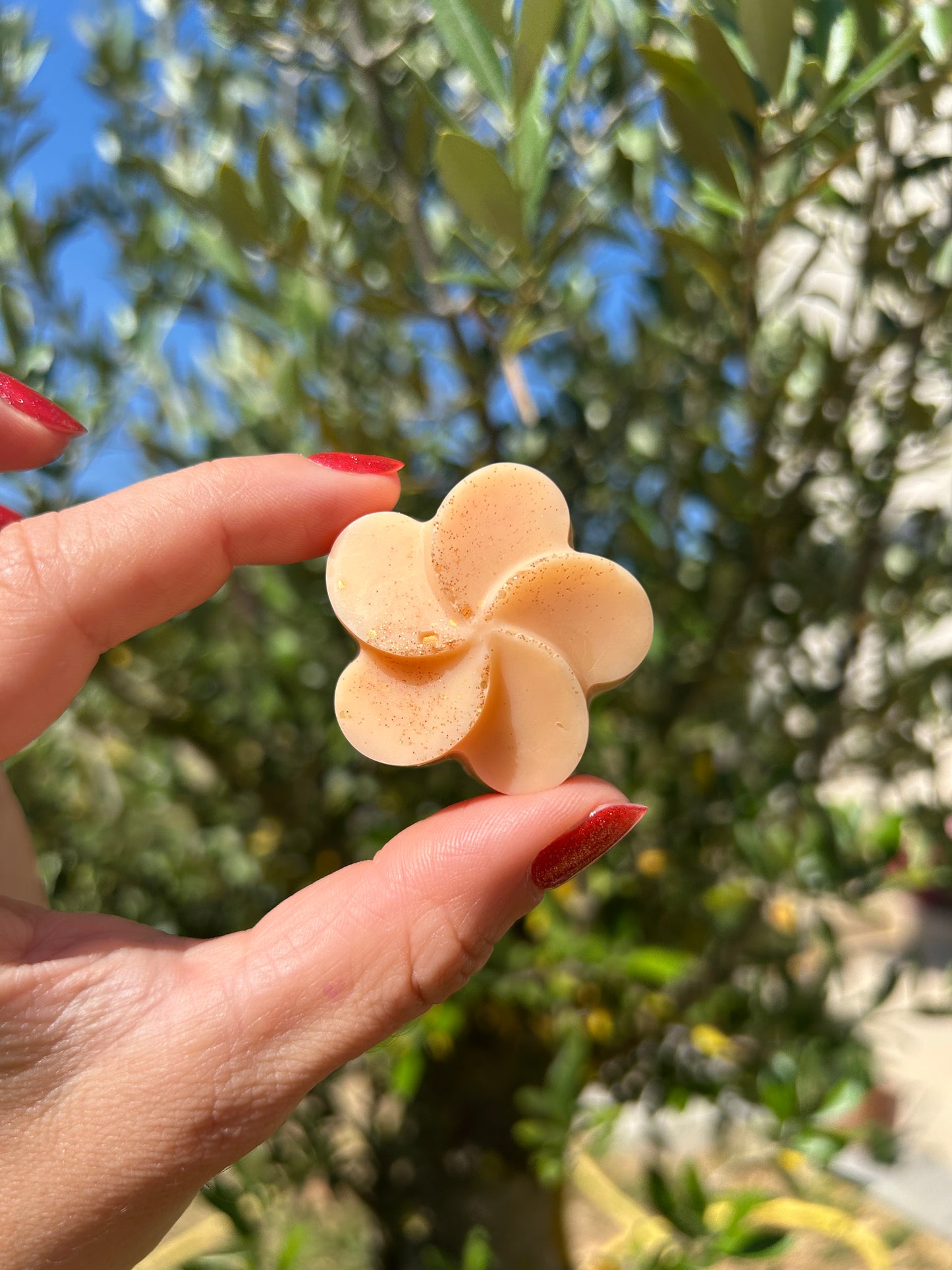 Fondant parfumé Au soleil du sud 18g