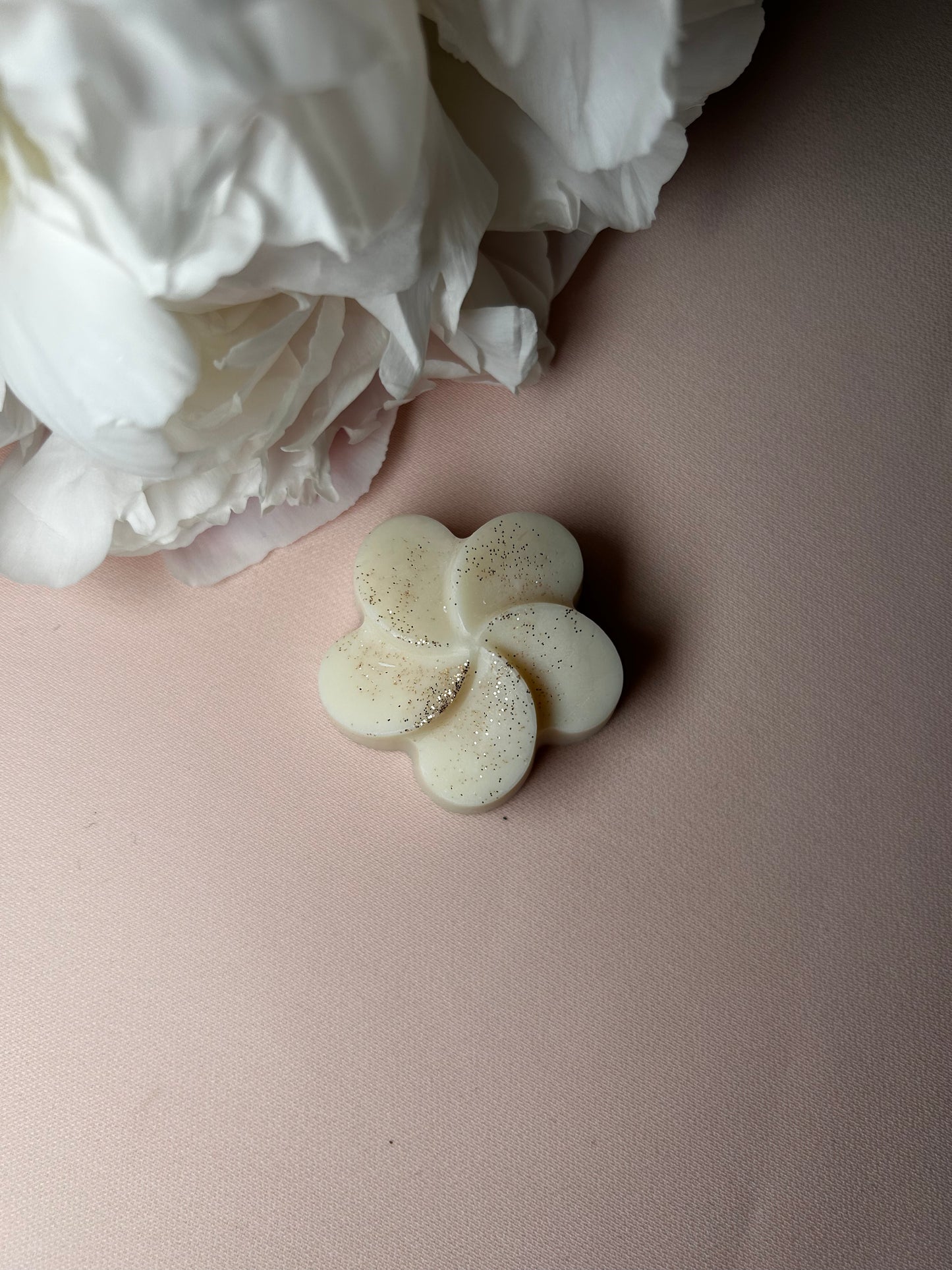 Fondant parfumé Musc poudré 18g