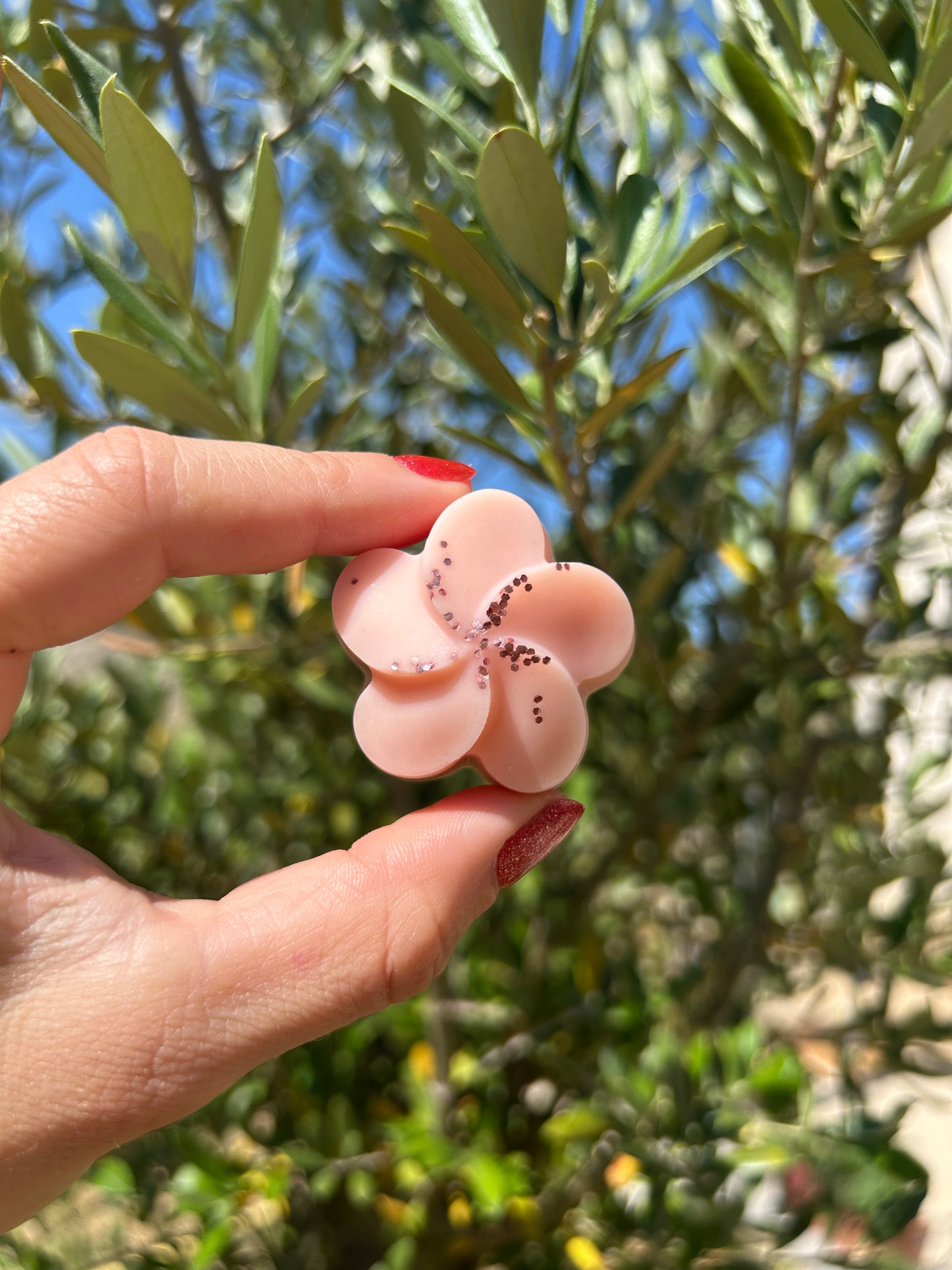 Fondant parfumé Pétales d'abricotier 18g