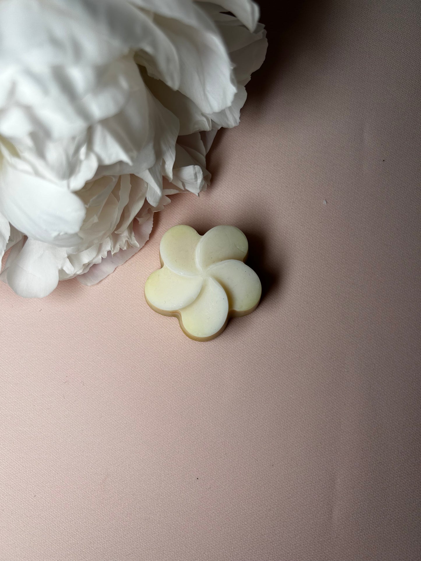 Fondant parfumé Tarte au citron meringuée 18g