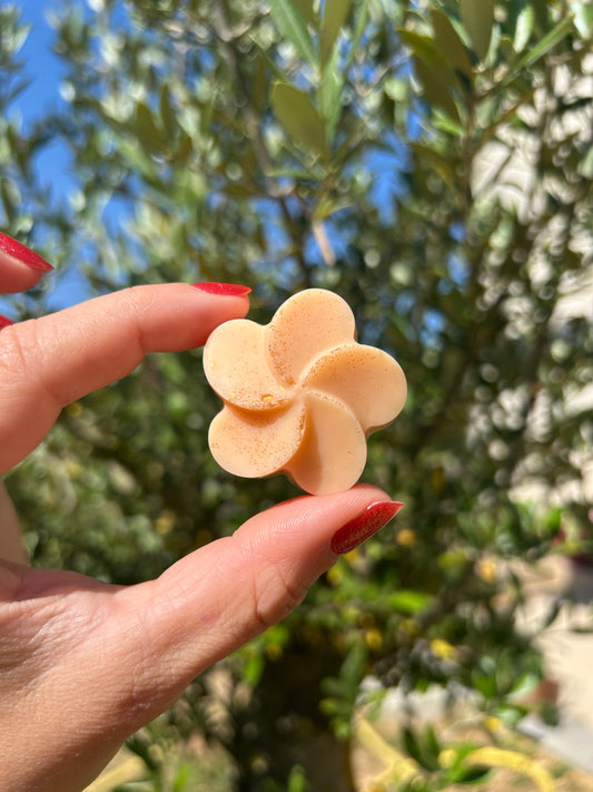 Fondant parfumé Au soleil du sud 18g