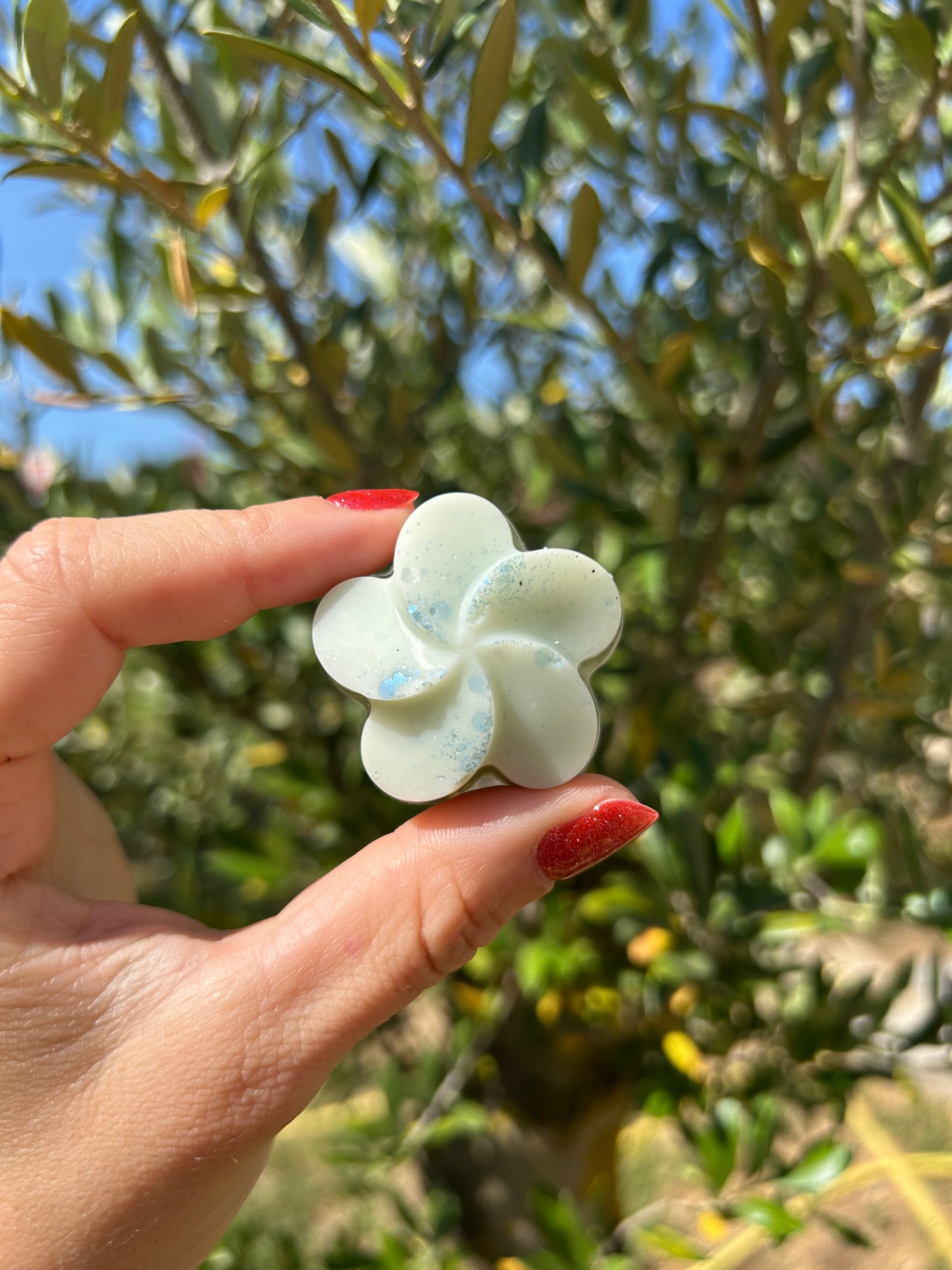 Fondant parfumé Bébé 18g