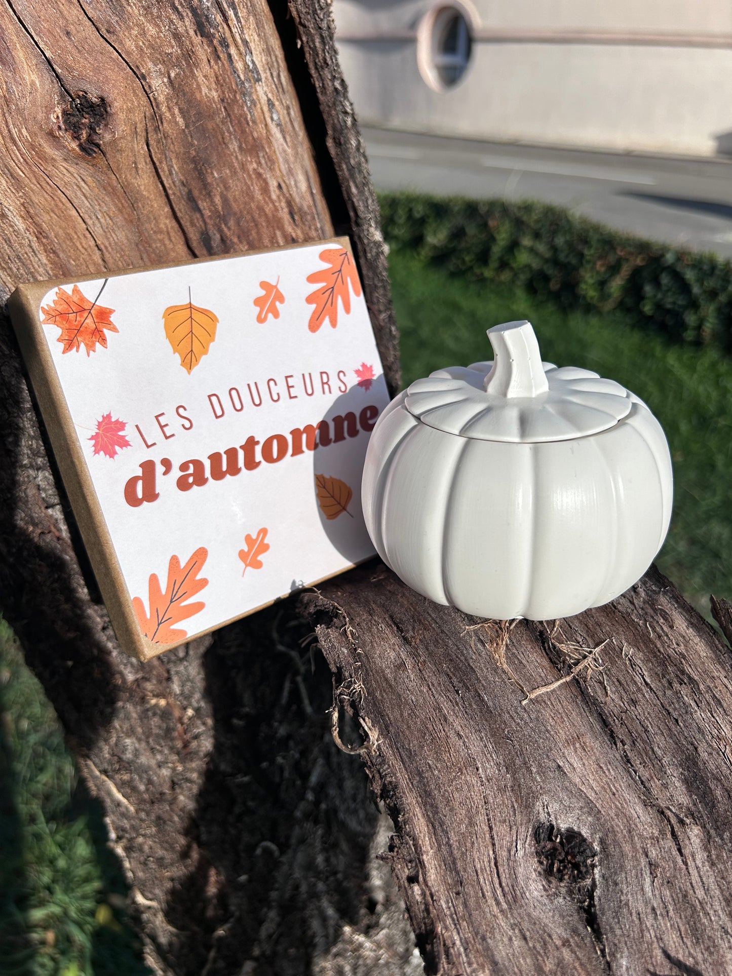 Bougie parfumée Les douceurs d'automne