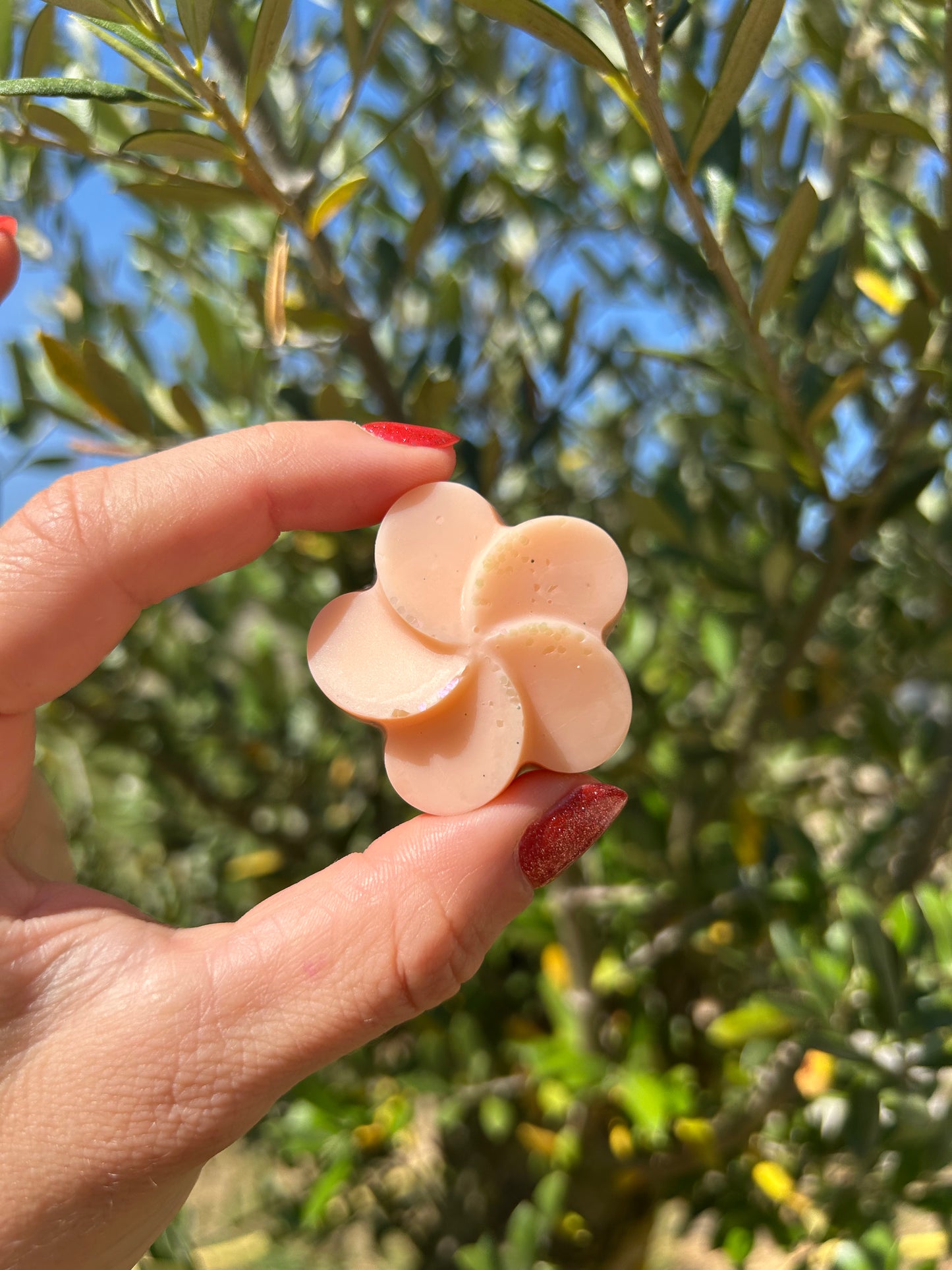 Fondant parfumé Cherry blossom