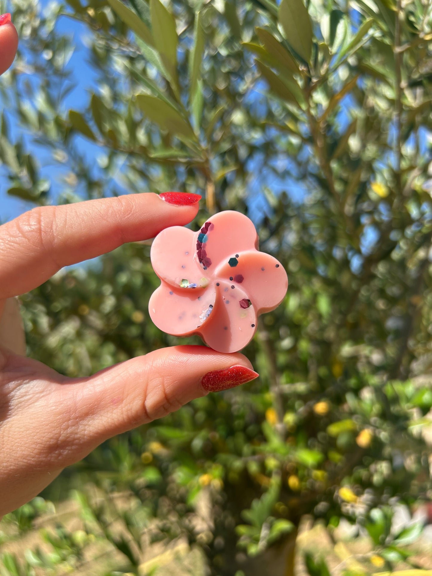 Fondant parfumé Escale fruitée 18g