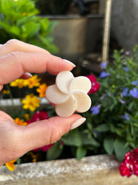 Fondant parfumé Musc poudré 18g