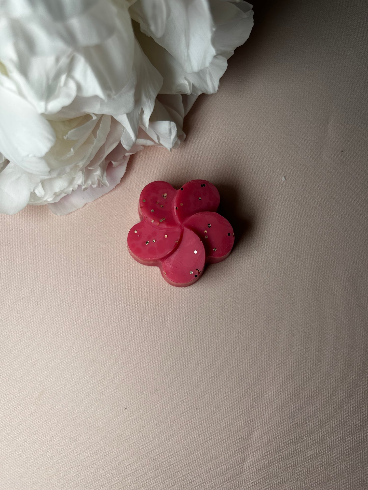 Fondant parfumé Myrtille gourmande 18g