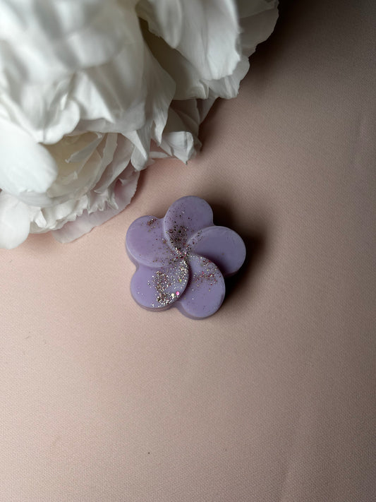 Fondant parfumé Sous le figuier 18g